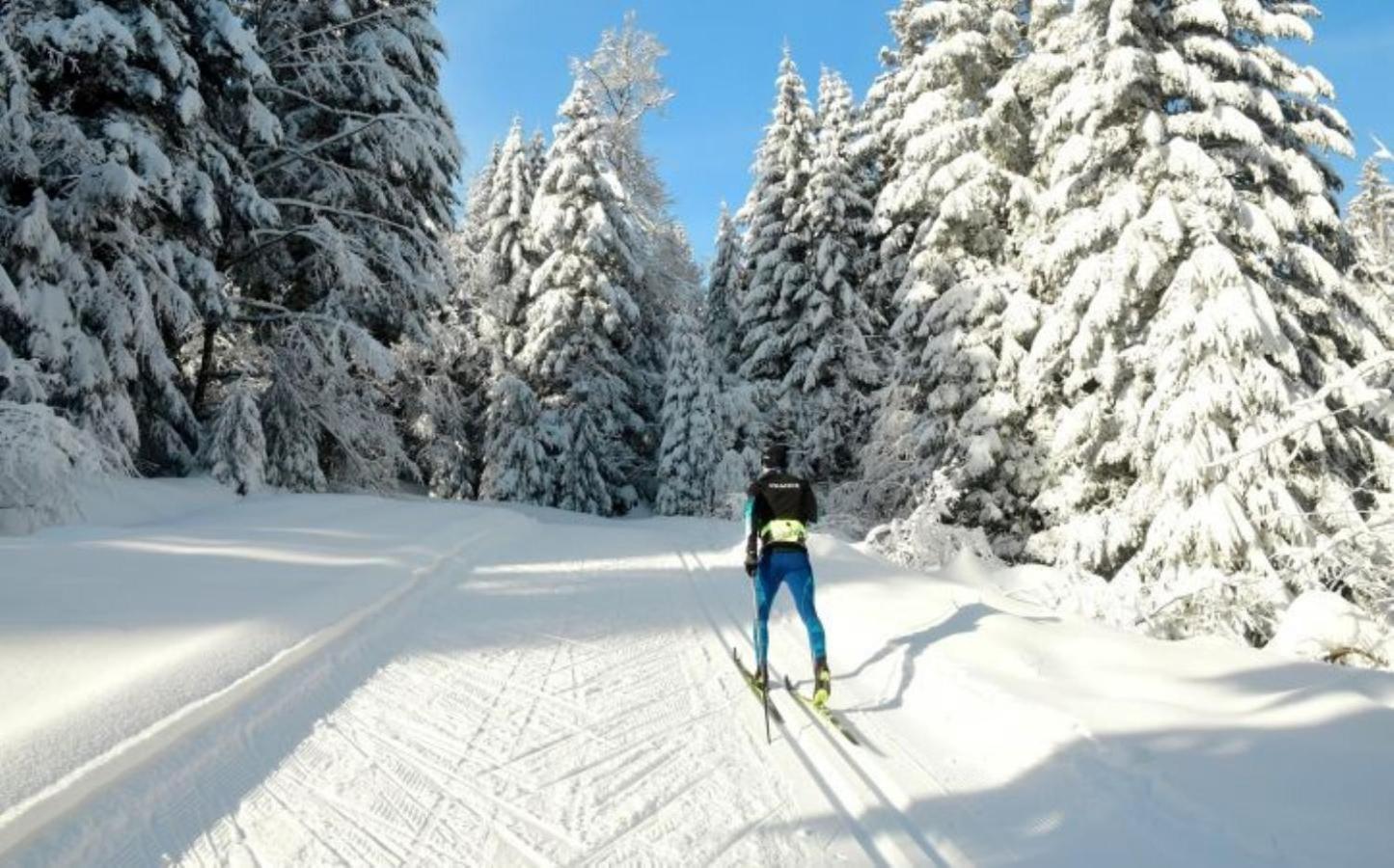 Villa 18.78, 10 Min De La Suisse Damprichard 外观 照片